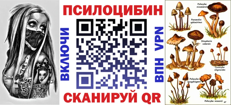 Галлюциногенные грибы Cubensis  ОМГ ОМГ сайт  Северск 